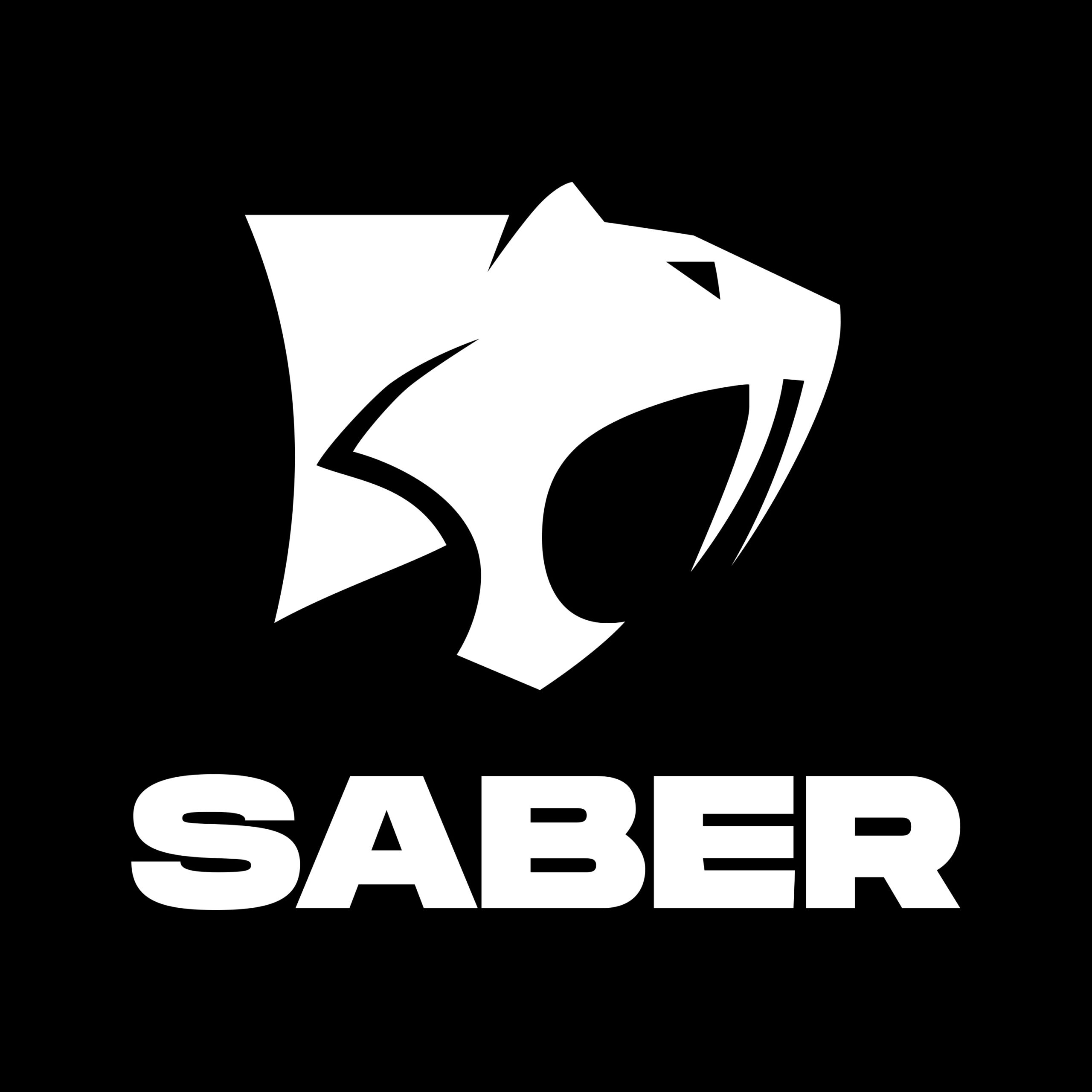 Saber Interactive Game Development Logo